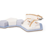 ⁦מסיבת הקוטב – משחק קואופרטיבי חינוכי⁩ – תמונה ⁦6⁩