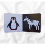 ⁦الحيوانات⁩ – תמונה ⁦3⁩