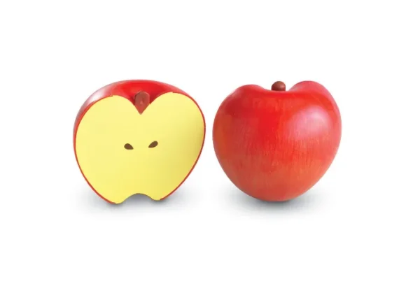 ⁦שבר תפוח מגנטי⁩ – תמונה ⁦4⁩