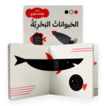 ⁦الحيوانات البحرية⁩ – תמונה ⁦2⁩