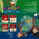 ⁦מקפיצים עכבישים⁩ – תמונה ⁦3⁩