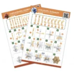 ⁦הרכבה מתקדמת ומחשבה BRAIN BUSTER – Buki⁩ – תמונה ⁦3⁩