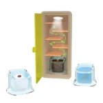 ⁦ערכת גידול צמח מטפס – ערכת ניסויים לבוטניקה לילדים Buki France⁩ – תמונה ⁦2⁩