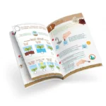 ⁦ערכת גידול צמח מטפס – ערכת ניסויים לבוטניקה לילדים Buki France⁩ – תמונה ⁦4⁩