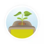 ⁦ערכת גידול צמח מטפס – ערכת ניסויים לבוטניקה לילדים Buki France⁩ – תמונה ⁦5⁩