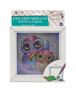ערכת שיבוץ אבנים ינשוף 5D עם מסגרת 18/18
